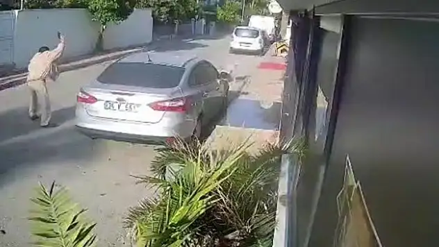 Yaşlı adam kendisine saldıran köpeği vurdu