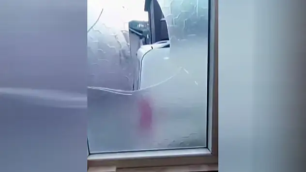 Yaşlı çift komşularının kabusu oldu