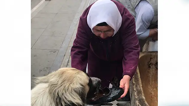 Yaşlı kadının yaptığı hareket gönülleri fethetti