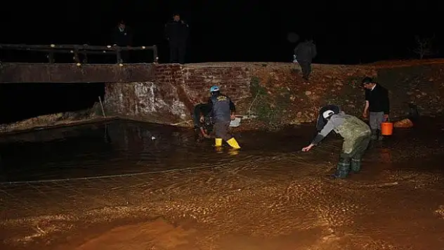 Yavru balıklar gölet sularıyla buluşturuldu