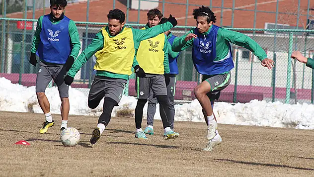 YAVRU KARTAL ÇALIŞIYOR
