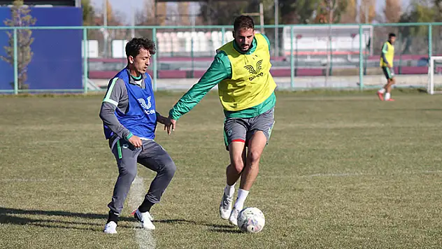 YAVRU KARTAL ELAZIĞ'DA
