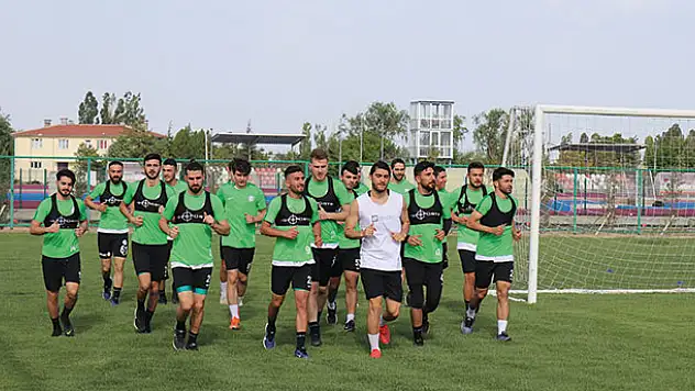 Yavru Kartal güç topluyor