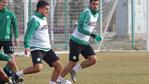 Yavru Kartal sahaya indi