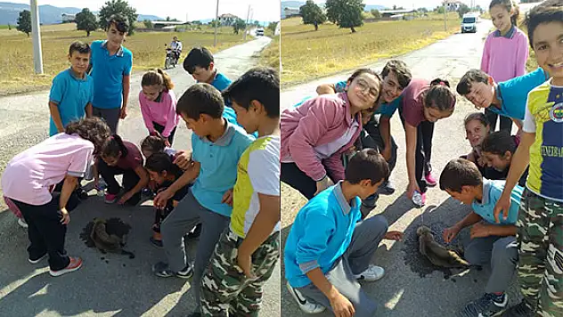 Yavru köpeğin imdadına öğrenciler yetişti