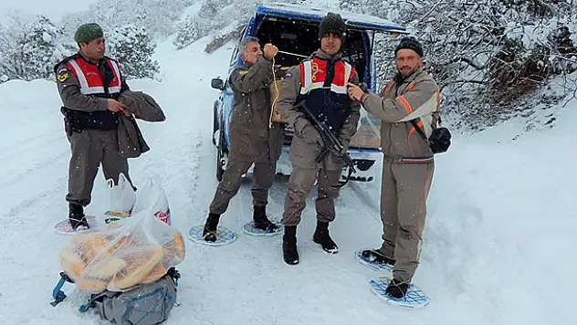 Yayla evinde mahsur kalan aileye Jandarma yardım etti