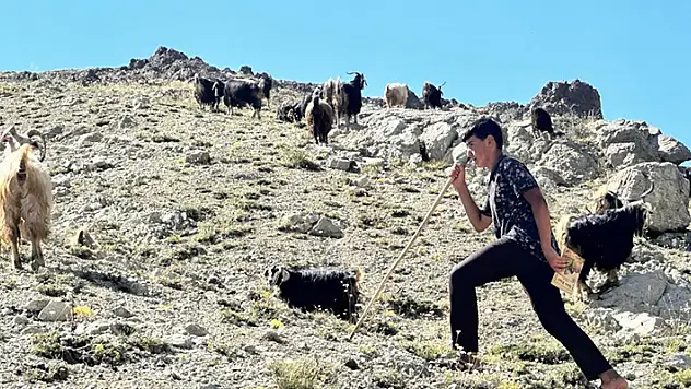 Yaylada çobanlık yapan Muhammet, LGS'de Türkiye ikincisi oldu