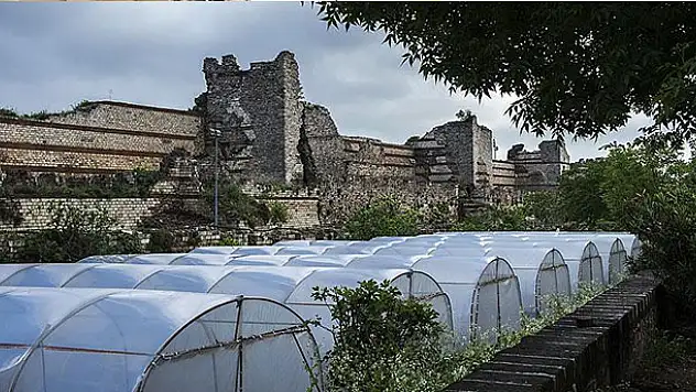 Yedikule Bostanları'ndaki seyyar barakalar ile seralar yıkıldı