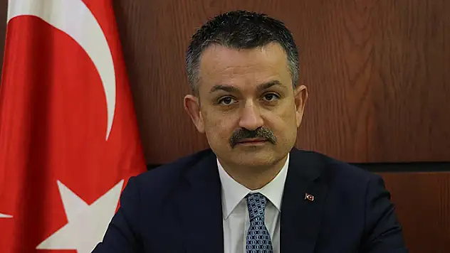 Yem fiyatlarına gelen zamlar üreticiyi zora soktu! Bakan açıkladı: Fiyatlara müdahale geliyor