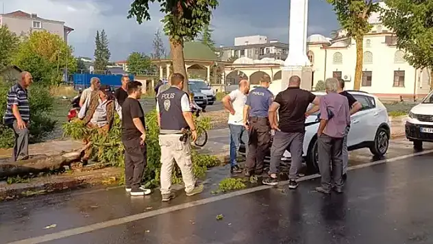 Yeni aldığı aracın üzerine ağaç devrildi! 'Daha borcunu bile ödememdim'
