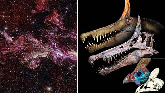 Yeni dinozor türünden Samanyolu Galaksisi'nin görüntüsüne kadar şubattaki bilimsel gelişmeler