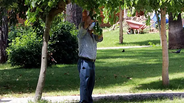Yeni sıcak hava dalgası başlıyor!