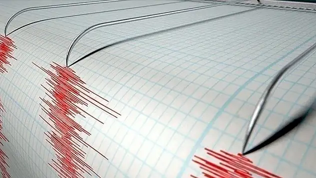 Yeni Zelanda'da 6,6 büyüklüğünde deprem

