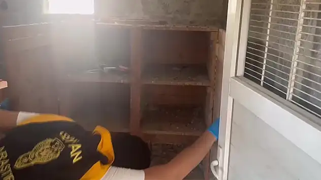 Yer Adana! Güvercin kulübesinden 'Kalaşnikof' çıktı
