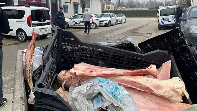 Yer: Düzce! Çöp konteynerinde eti sıyrılmış at kemikler bulundu
