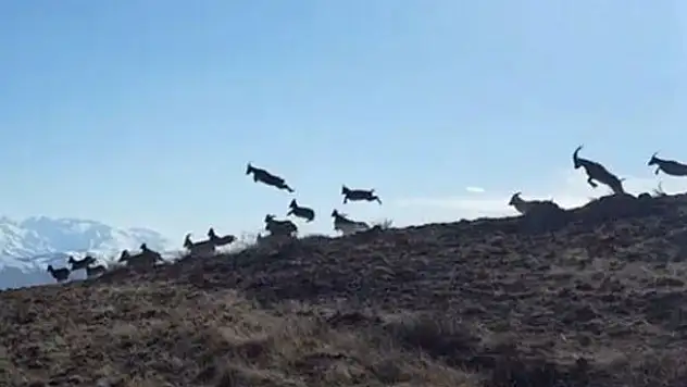 Yer: Erzincan... O an böyle görüntülendi