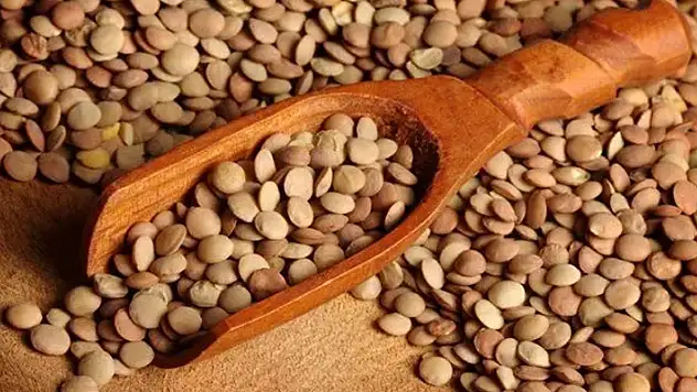 Yeşil mercimek ithalatında gümrük vergisi sıfıra indirildi
