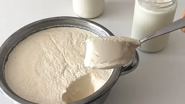 Yoğurt, yoğurt ile yapılıyorsa ilk yoğurt nasıl yapıldı?
