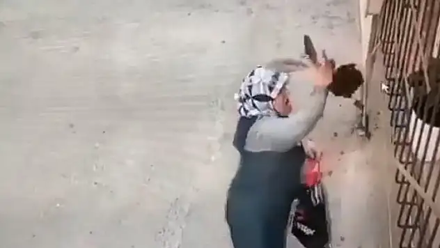 Yok artık dedirten hırsızlık! Camdaki çiçeği saksıdan söküp çalan kadın kameralara yakalandı
