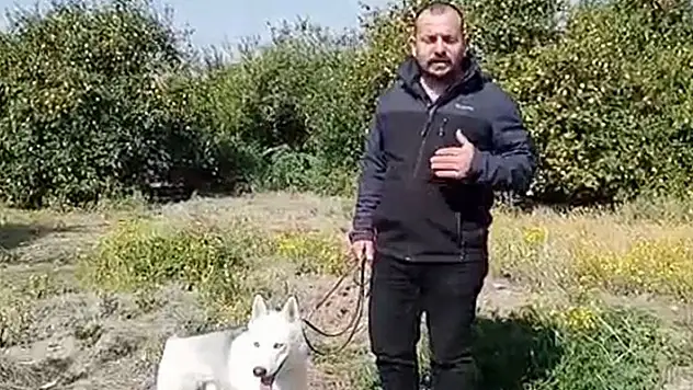 Yok böyle vicdansızlık! Depremzede konteyner almak isterken 60 bin TL dolandırıldı

