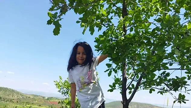 Yol kenarında hareketsiz bulunan 6 yaşındaki Nisa, kurtarılamadı

