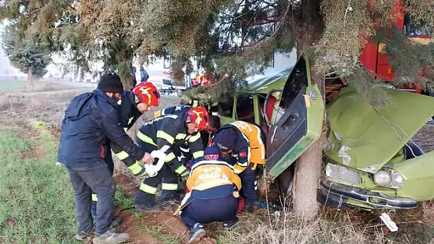 Yol kenarındaki ağaca çarpan otomobil hurdaya döndü: 2 yaralı
