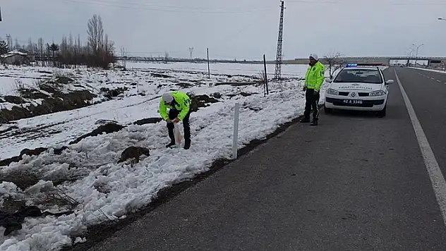 Yol kenarındaki yavru köpeklere polis şefkati
