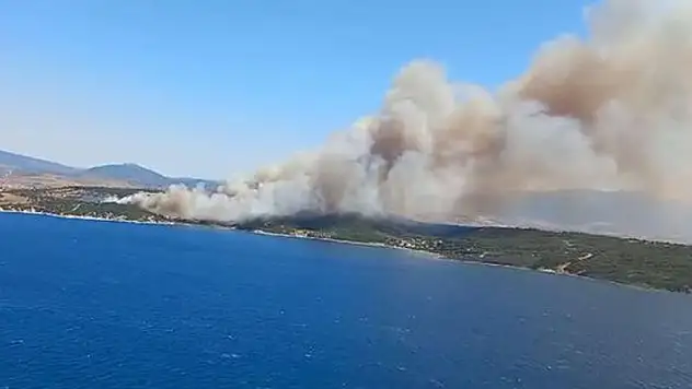 İzmir'in 2 ilçesinde orman yangını çıktı