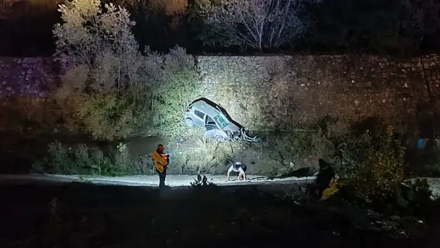 Yola çıkan köpeğe çarptıktan sonra dereye düşün otomobilin sürücüsü yaralandı
