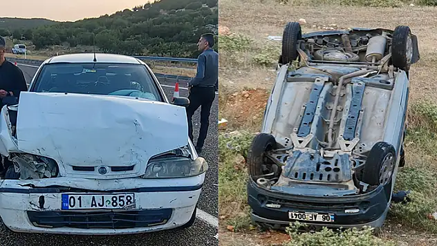 Yola çıkan köpek kazaya neden oldu: 1 ölü, 2 yaralı
