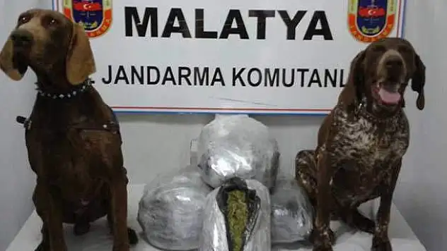 Yolcu Treninde 20 Kilo Esrar Ele Geçirildi