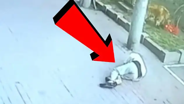 Yolda yürürken başına kedi düştü