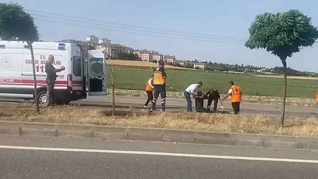 Yolun karşısına geçerken otomobilin çarptığı çoban, öldü
