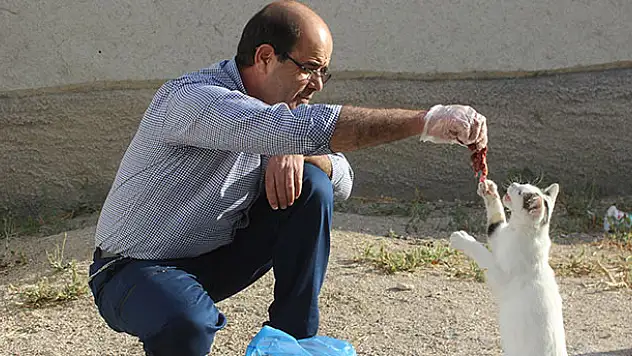 Yolunu gözleyen kedileri ciğerle besliyor