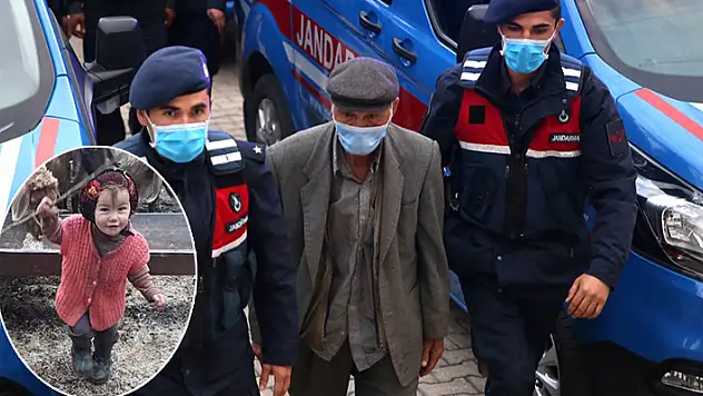 Yörük kızı Müslüme'nin öldürülmesinden beraat eden dedeye, gelinine cinsel saldırıdan 28 yıl hapis cezası verildi

