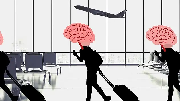 Yükseköğretim mezunlarının beyin göçü oranı yüzde 2 oldu
