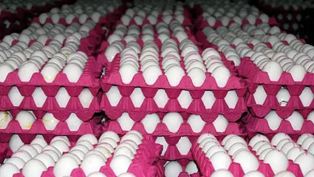 Yumurta fiyatları 20 günde yüzde 100 arttı