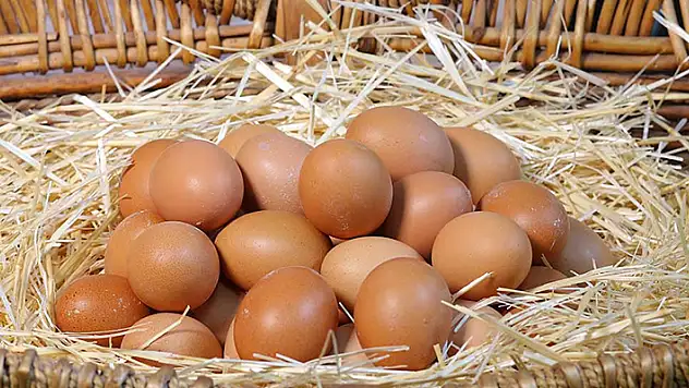 Yumurta fiyatları da zamlandı! Gezen tavuk yumurtası 2 lira oldu
