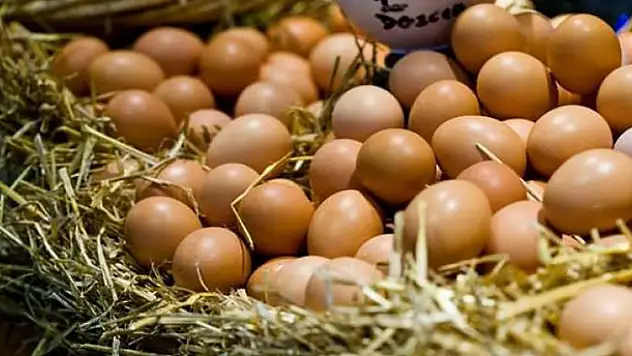 Yumurta fiyatları rekor kırdı!