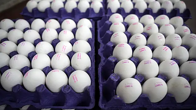 Yumurta fiyatlarındaki sezonluk indirim son buldu, fiyatlar eski seviyeye döndü
