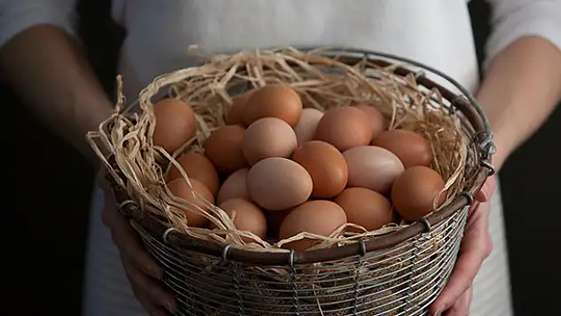Yumurta ihracatı son 11 yılda 21 kat büyüdü