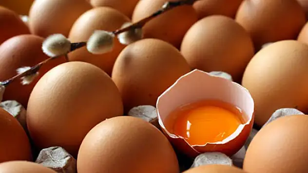 Yumurta kabuğu zarı kireçlenme ağrısını azaltıyor