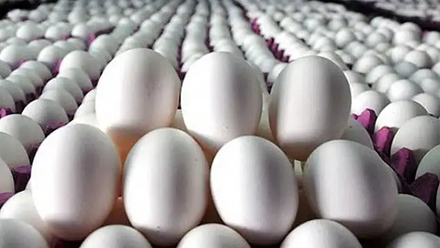 Yumurta sektöründe soruşturma depremi! Konya Yumurta Üreticileri Birliği ile Konya'dan 3 üretici firma da listede
