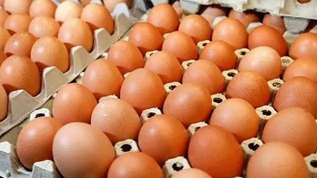 Yumurta yemek için akıllı nedenler!