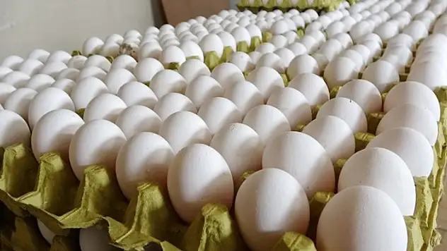 Yumurtacılardan soruşturmaya sert tepki! Bilerek fiyatları yükselttiler mi?
