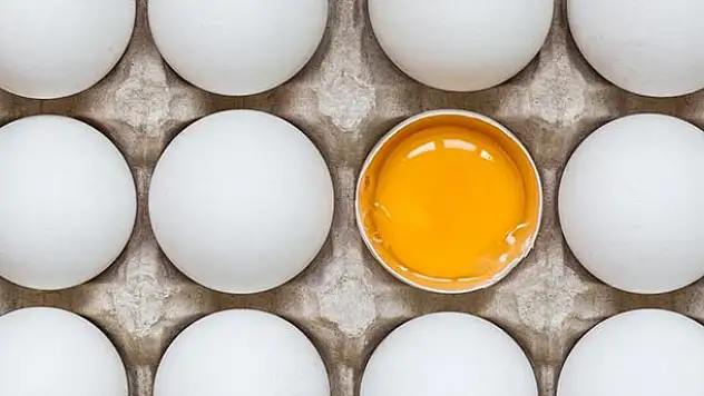 Yumurtada yeni dönem