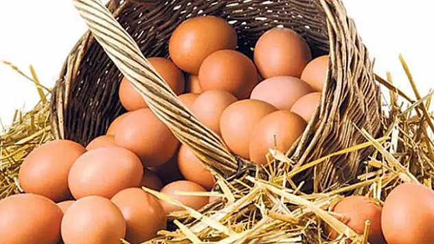 Yumurtada yeni dönem başlıyor - O yumurtaların satışı yasaklanıyor