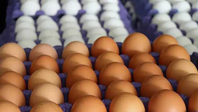Yumurtaya yüzde 50 zam geldi! Koli fiyatı 50 liraya dayandı
