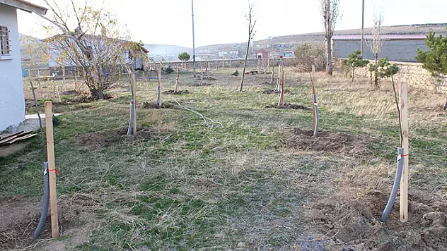 Yunak'ta okul bahçesindeki atıl arazi meyve bahçesine dönüştürüldü

