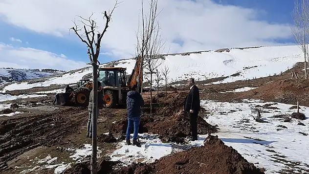 Yunak'ta 'Yeşil Şehirler Huzurlu Nesiller Projesi'
